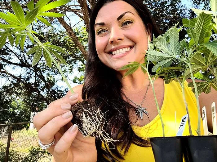 clones vs seeds jessie